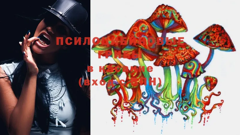 Галлюциногенные грибы MAGIC MUSHROOMS  Курган 